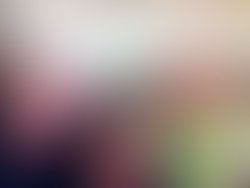 552661 563361463700017 1960401623 n