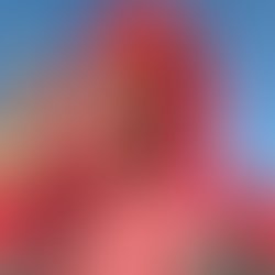 Fb img 1500186145795