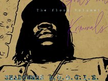Shadowman Boogie