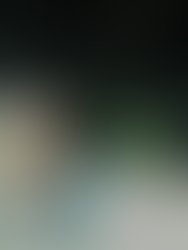 Artist 5836824 1541956049