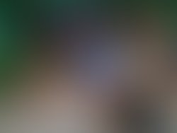 19247763 140384253182407 3816163058865401679 n