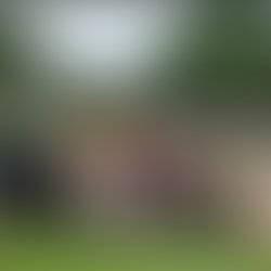 18766580 1895192430719336 641755985097280012 o