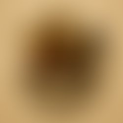 Copilot 20250703 082731