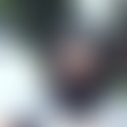 Artist 5855942 1500044636