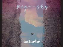 Aatache