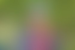 26904072 527730807600208 4782194322007721574 n