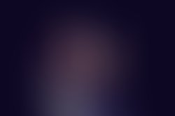 T bird 40toned edited