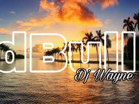 RedBull☆Dj Wayne