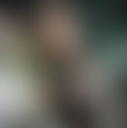 Koburg 003 resize cropped