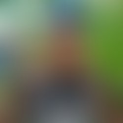 Img 20180210 003930 033