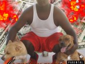 big maynevicegripaffiliatez