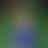 88d7ef9206f0c4f6a2b9d384949f699a65a5adc4