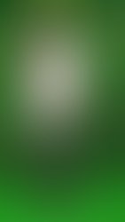 Fb img 1617641286839