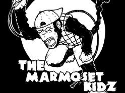 Image for The Marmoset Kidz