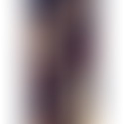 Artist 5893338 1502722190