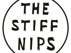 The Stiff Nips