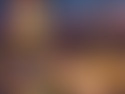 Fb img 1732677509265