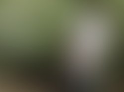 Artist 5896438 1504214335