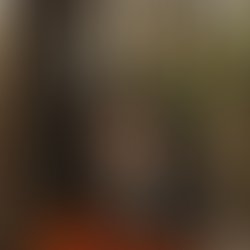 Artist 5896718 1503540423