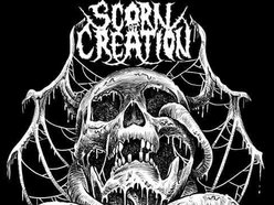 Image for Scorn Of Creation