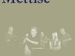 Image for Mettise