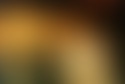 A photo 14 auto levels 1258829559