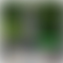 Photogrid 1504706313852