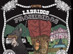 Image for CHITE