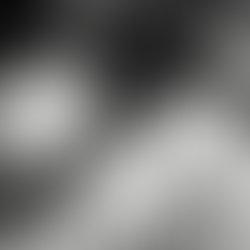 21014765 10214245253024699 1275233931 o