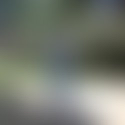 27067127 253081558563145 5129895055144596987 n