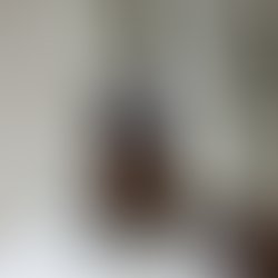 Img 20170926 135155 685