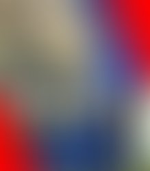 Logopit 1562721454398