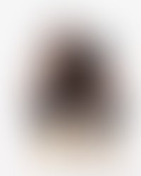 Artist 5932155 1577041233