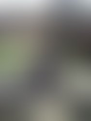 Img 20170916 152808