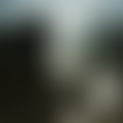 Artist 5935117 1505983537