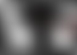 4411467 0634436031 berse