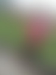21743206 468451683528024 8497180542191242159 n