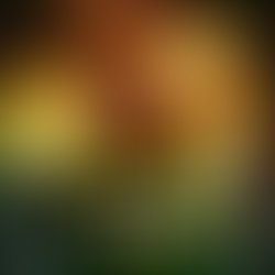 Artist 5942563 1510765963