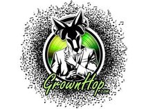 DJ Elixir/ Grownhop