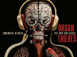 Image for Organ Thieves