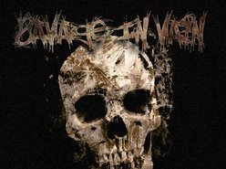Image for Venom