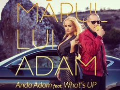 Anda Adam