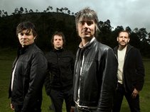 la gusana ciega