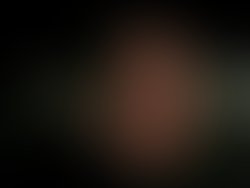 Gerard ange paris 2005