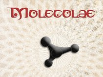 MOLECOLAE