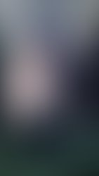31085e80a33bec36d69626d68f991a10407d2c77
