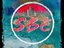 STOCKBOYS ENT (Artist)