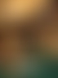 65699b99 5c1d 484e 858f 53bb81a54f98