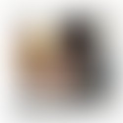 Intro cover