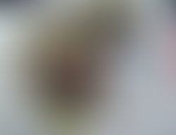 18009612 10154374657691674 1125063850 n 1 